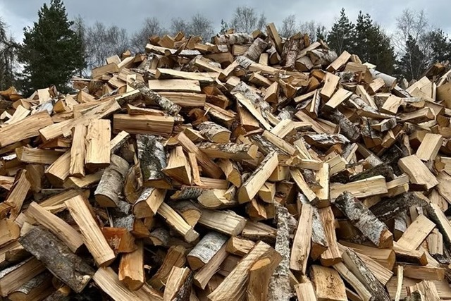 Brennholz Birke München Schüttgut